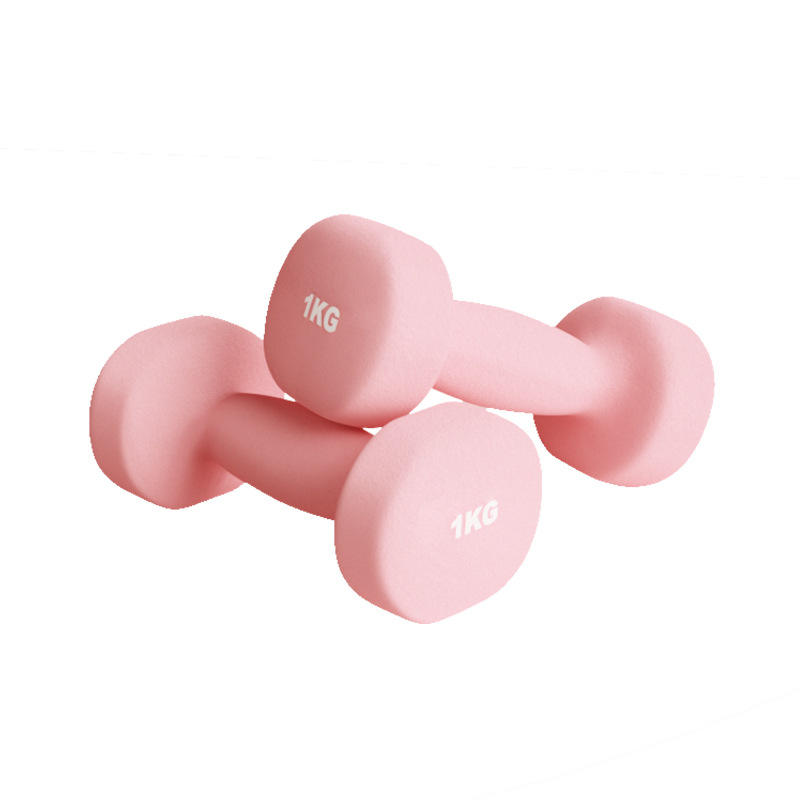 Pure Iron Small Dumbbell Set Plastic Coated | Home Fitness Free Weights for Women, Men, Yoga, Students & Beginners