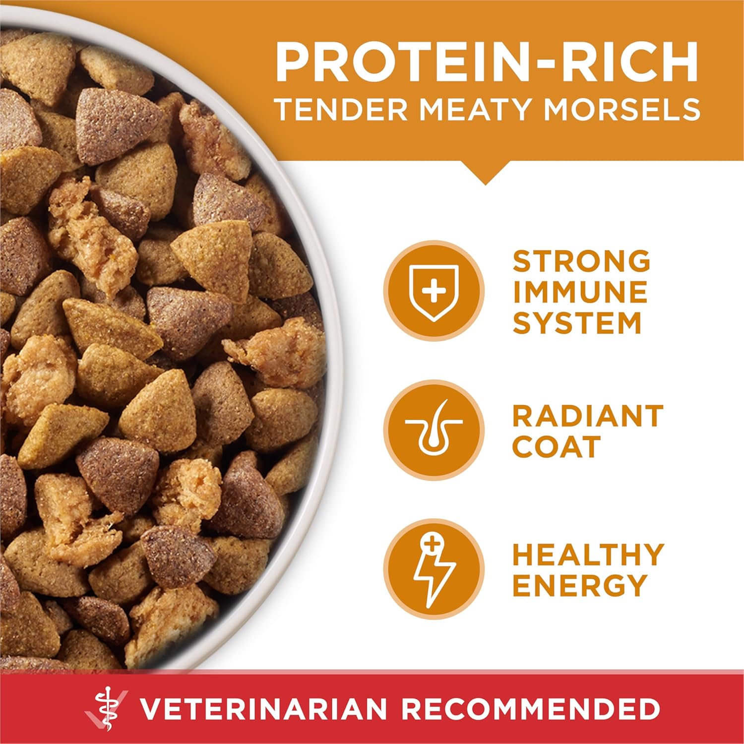 Purina ONE Chicken and Rice Formula Dry Dog Food – 40 lb. Bag - Image 5