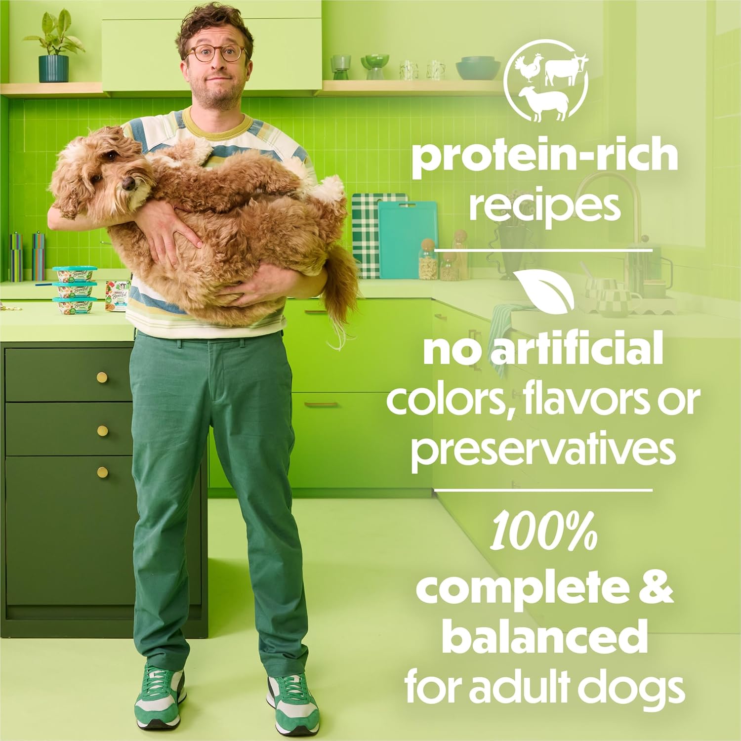 Beneful Gravy Wet Dog Food Variety Pack – 12 Pack (10 oz. Tubs) - Image 3
