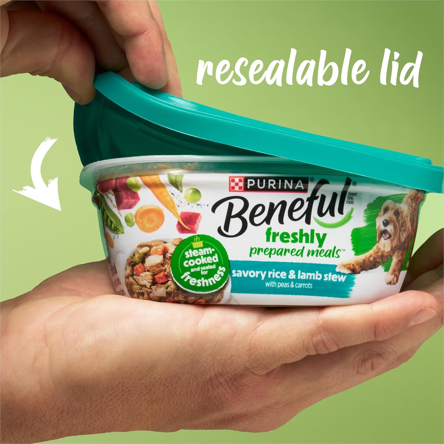 Beneful Gravy Wet Dog Food Variety Pack – 12 Pack (10 oz. Tubs) - Image 6