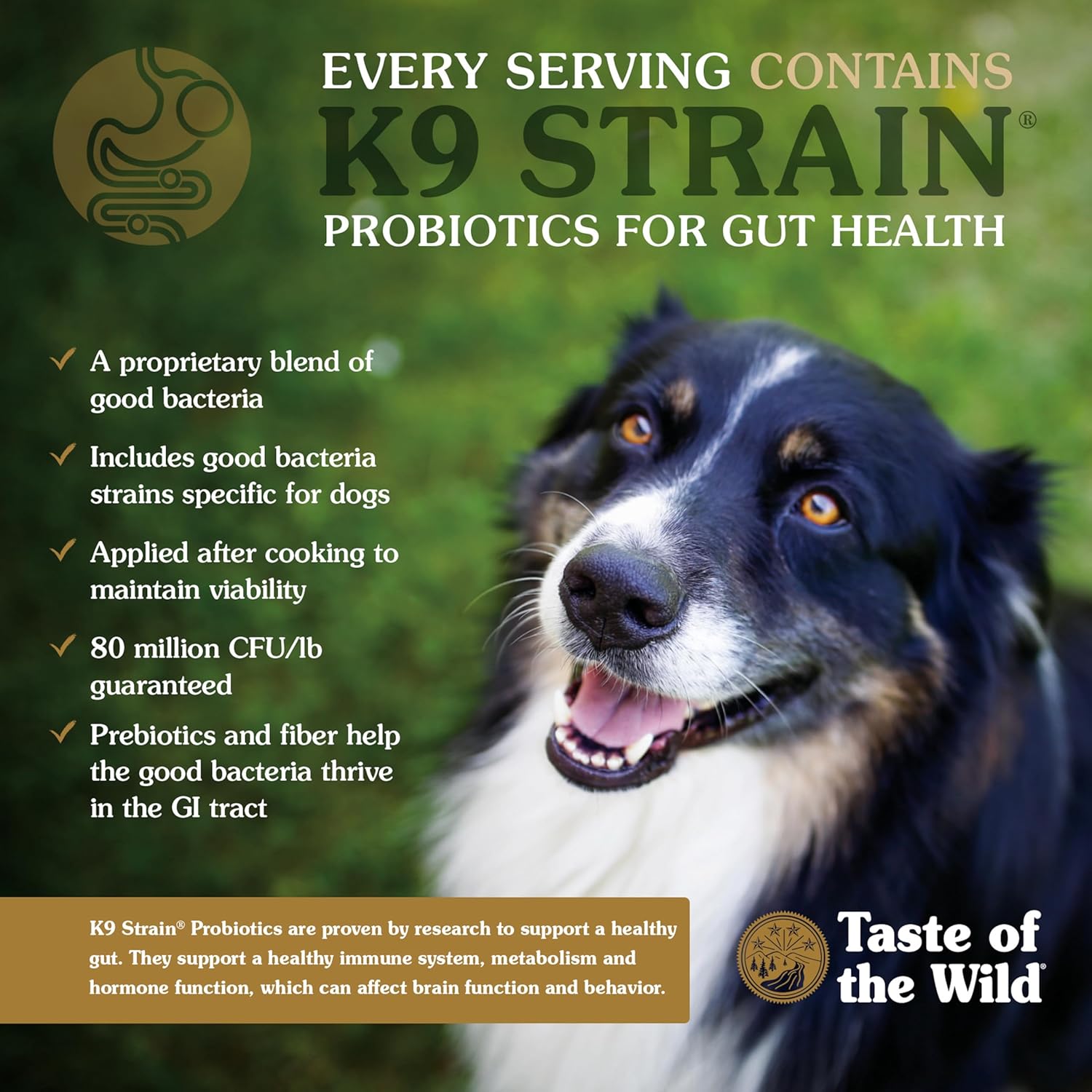 Taste of the Wild High Prairie Grain-Free Dog Food – Roasted Bison & Venison – 28 lb - Image 5