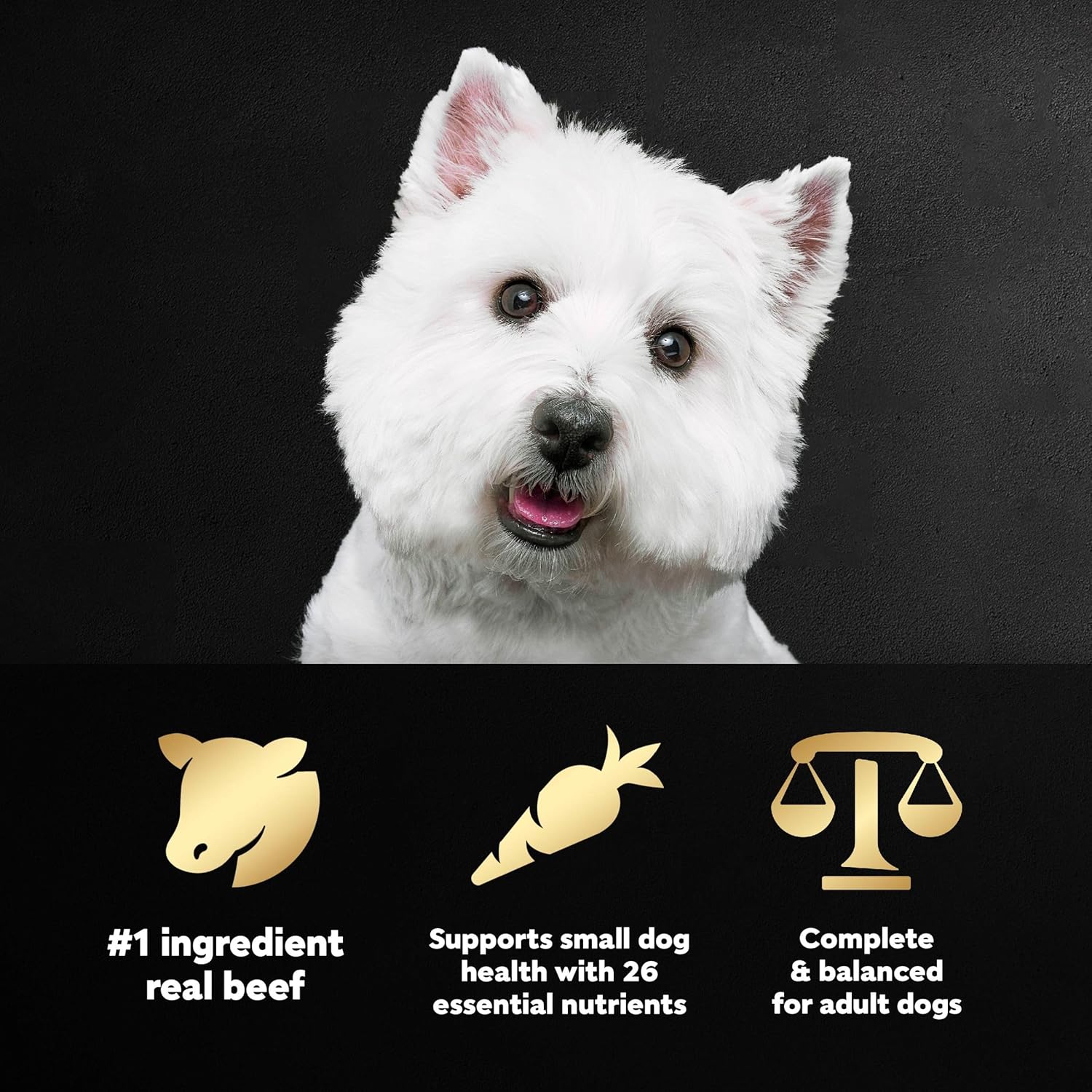 Small Breed Dry Dog Food – Filet Mignon Flavor with Spring Vegetables – 5 lb Bag - Image 4