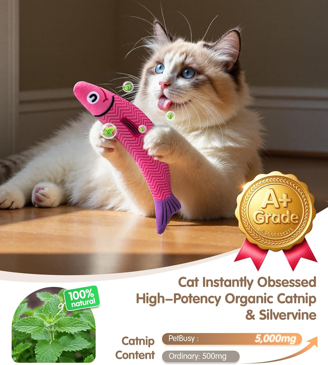 Cat Toys with 5000mg A+ Natural Catnip & Silvervine – Baby Grade Interactive Soft Chew Kicker Toy for Indoor Cats & Kittens – Crinkle & Bell Fish Sound Toy - Image 3