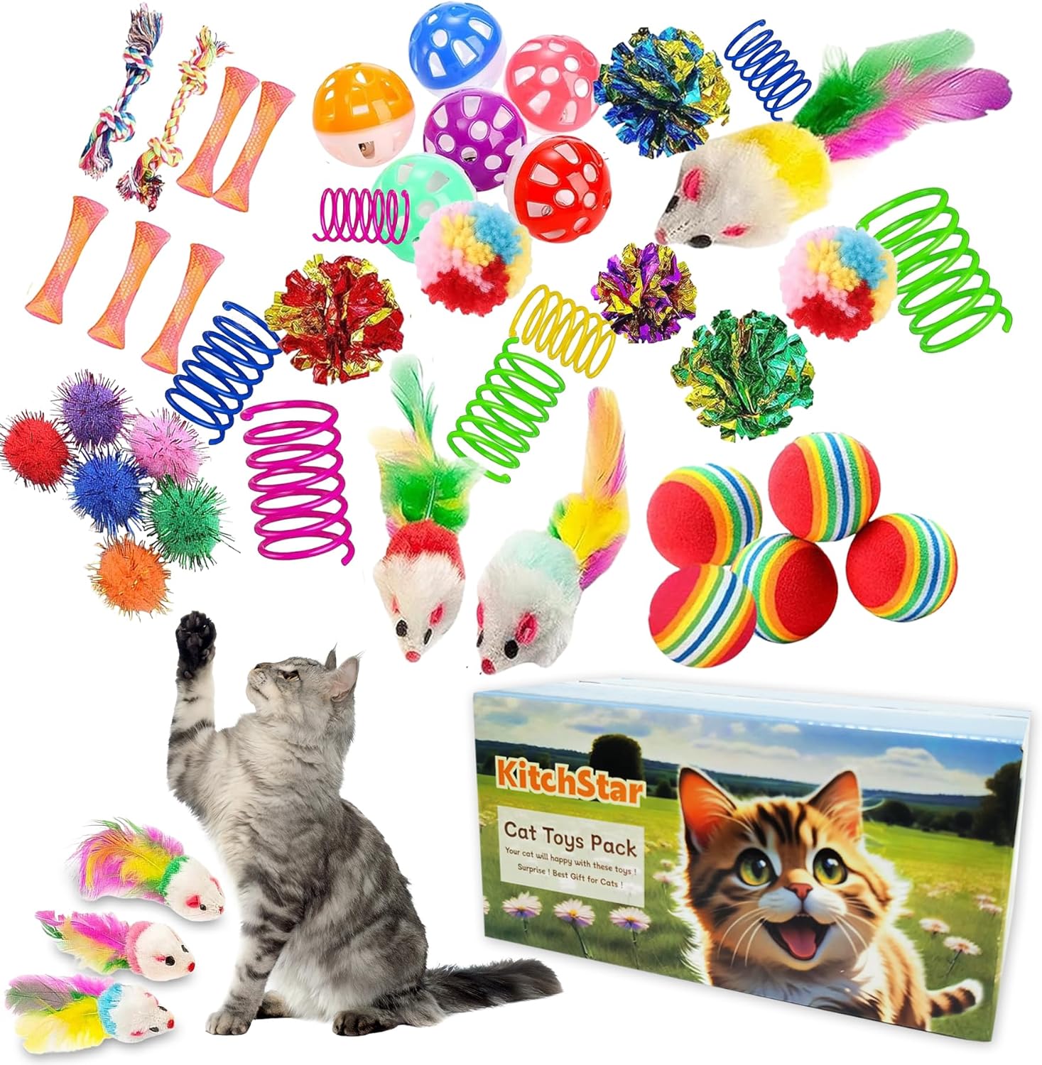 46 PCS Cat Toys for Indoor Cats – Kitten Toy Set with Cat Spring Toys, Mint Catnip, Crinkle Mouse & Balls – Exercise for Indoor Cats & Kittens