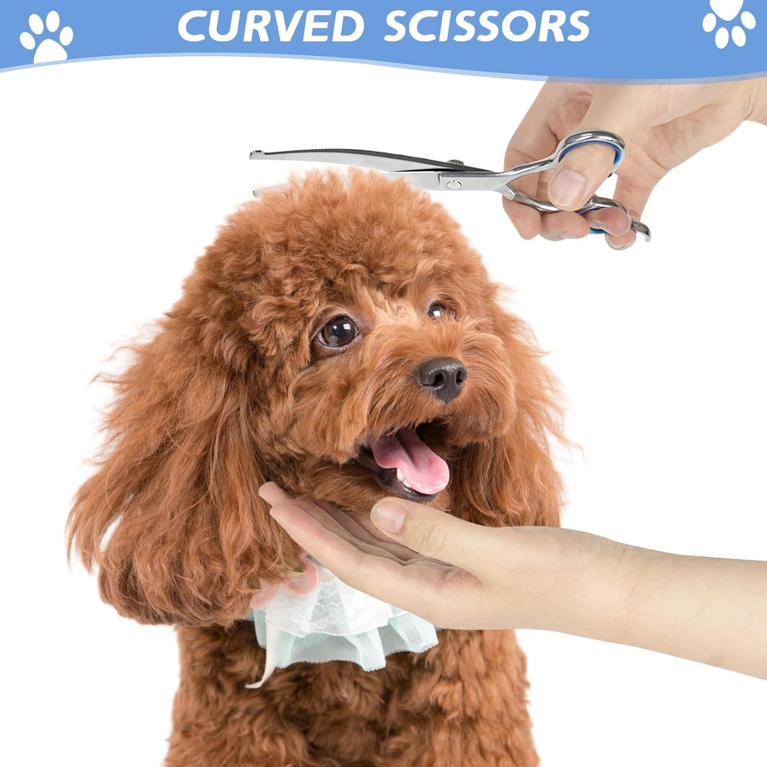 7 in 1 Professional Pet Grooming Kit – Grooming Scissors Set for Dogs & Cats - Image 5