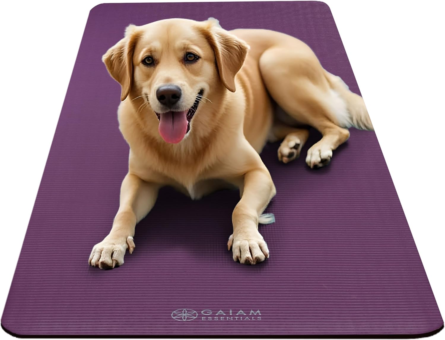Gaiam Essentials 2/5" Thick (10mm) Yoga & Pilates Mat with Easy-Cinch Carrier Strap, Extra Thick NBR Foam for Joint Cushioning, Non-Slip Textured Surface for Home Gym & Fitness Workouts - Navy/Teal/Purple/Orange - Image 3