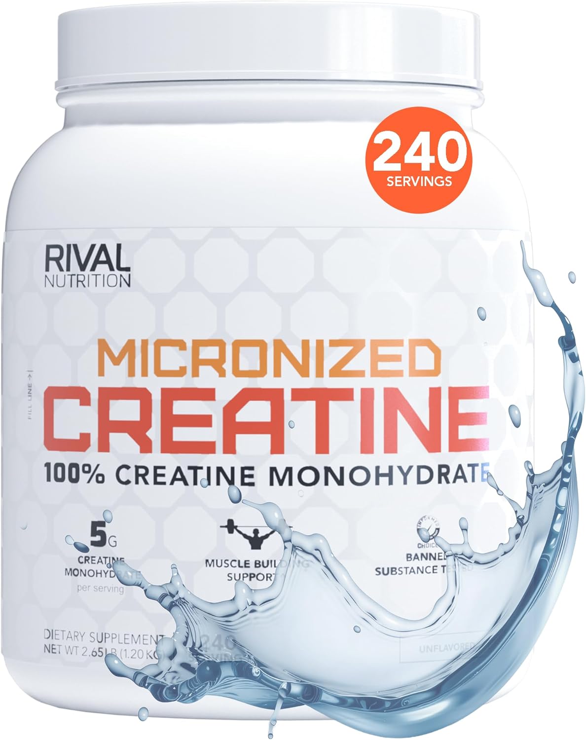 Micronized Creatine Monohydrate Powder – 100% Pure, 1200g (240 Servings), Unflavored, 5g Per Serving, Supports Muscle Performance, Lean Mass & Cognitive Function - Buy Online at SimraCart