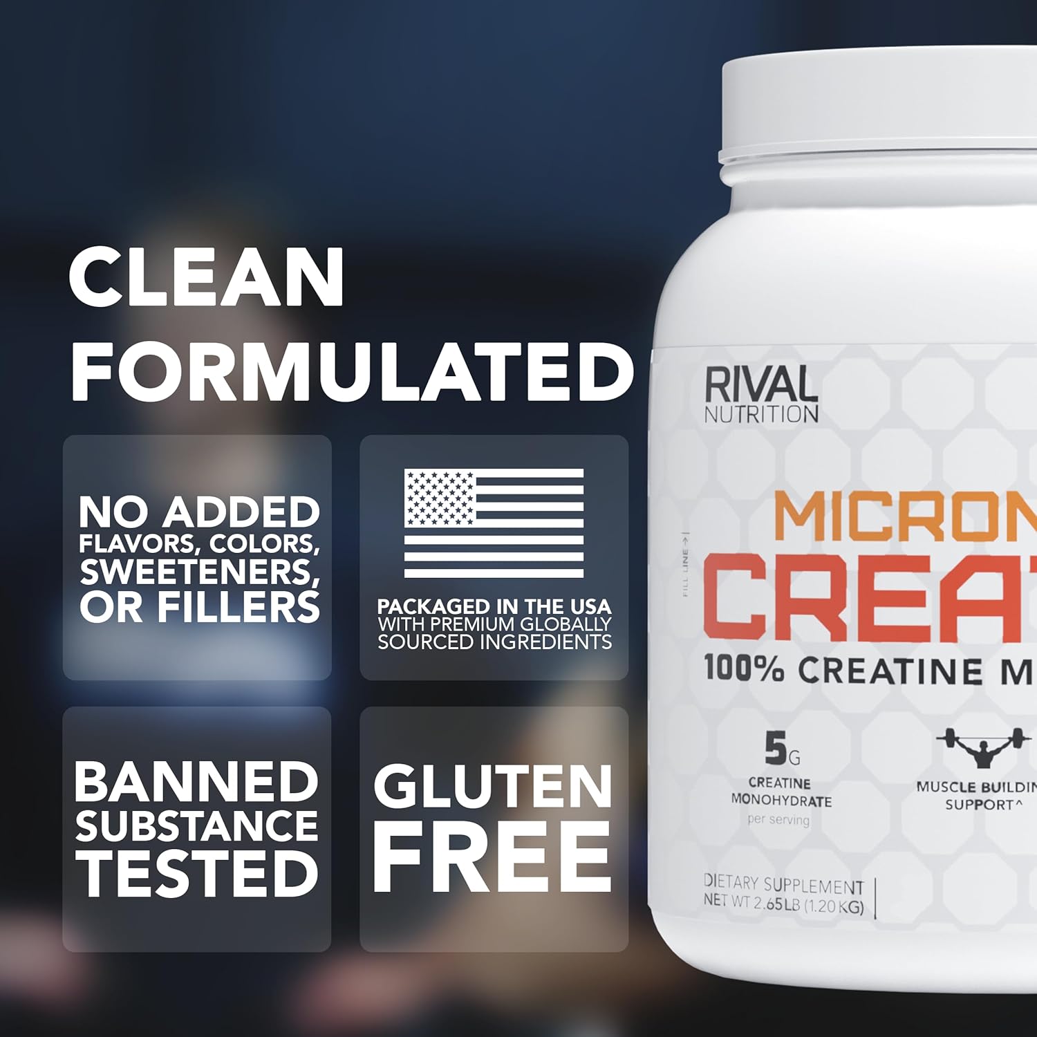 Micronized Creatine Monohydrate Powder – 100% Pure, 1200g (240 Servings), Unflavored, 5g Per Serving, Supports Muscle Performance, Lean Mass & Cognitive Function - Image 2