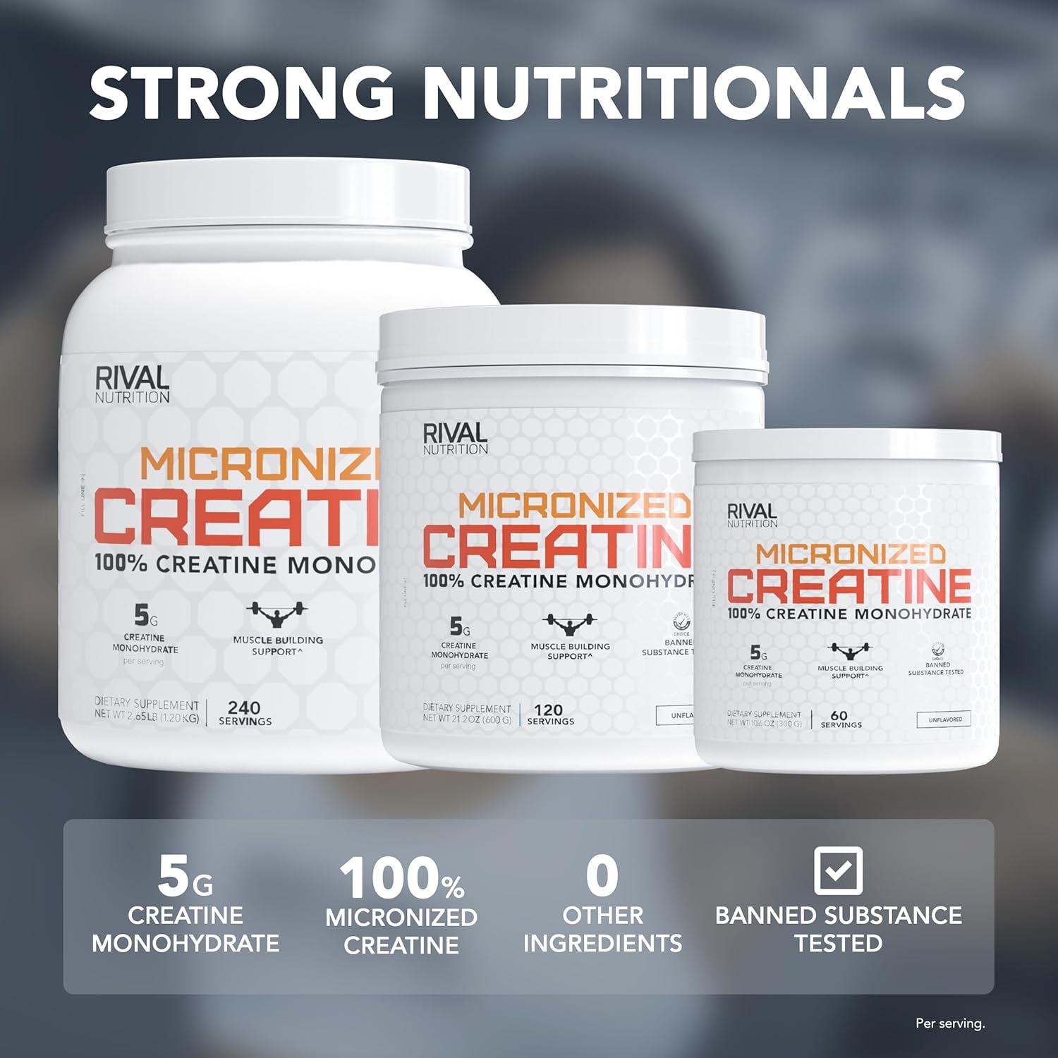 Micronized Creatine Monohydrate Powder – 100% Pure, 1200g (240 Servings), Unflavored, 5g Per Serving, Supports Muscle Performance, Lean Mass & Cognitive Function - Image 3