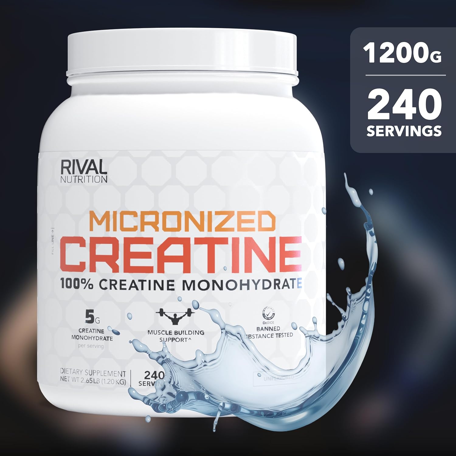 Micronized Creatine Monohydrate Powder – 100% Pure, 1200g (240 Servings), Unflavored, 5g Per Serving, Supports Muscle Performance, Lean Mass & Cognitive Function - Image 4