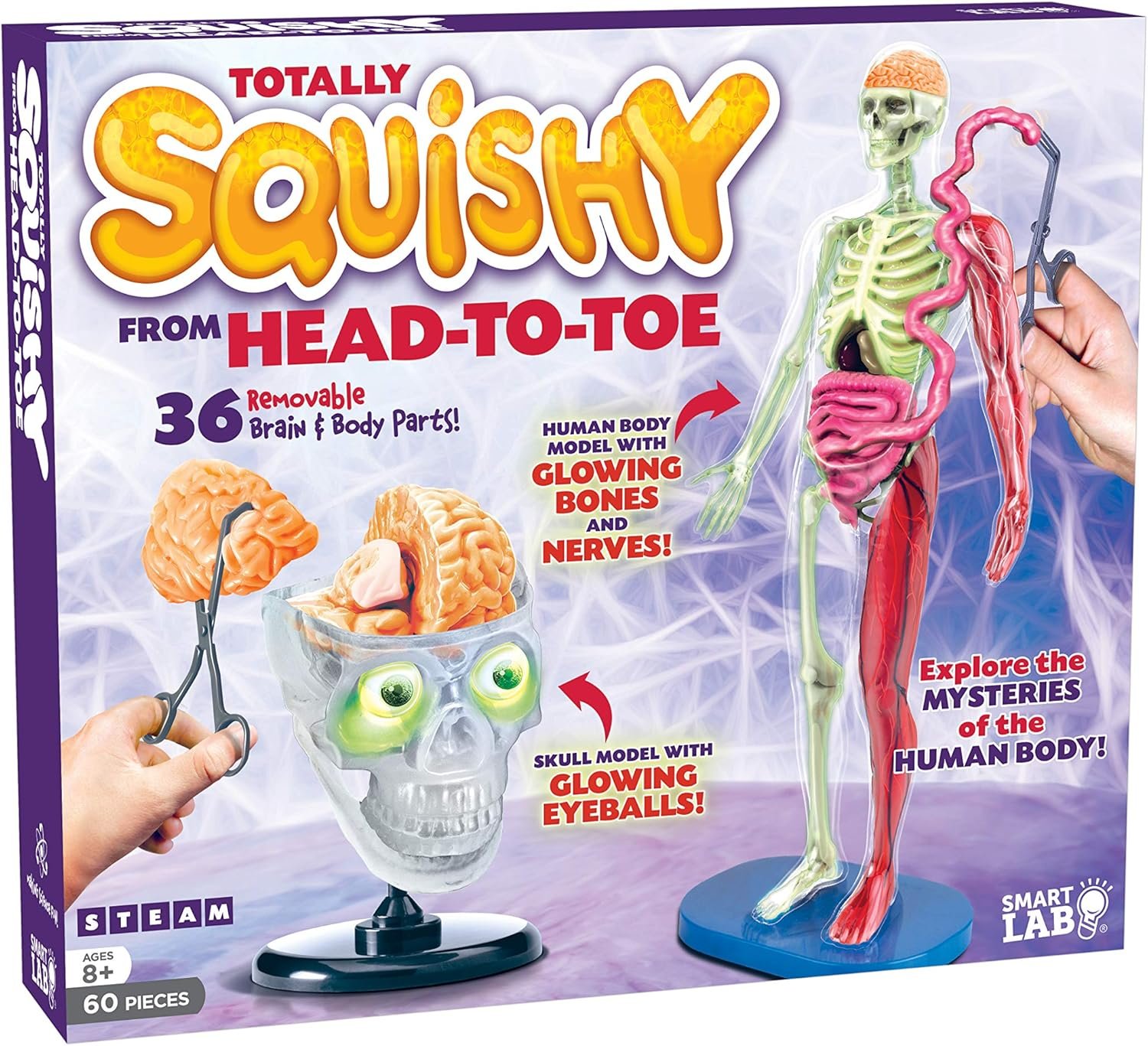 Totally Squishy Head-to-Toe Human Body Model – 60 Piece STEM Anatomy Kit with 36 Removable Parts, 12" Model, Glowing Eyeballs & Illustrated Book - Buy Online at SimraCart