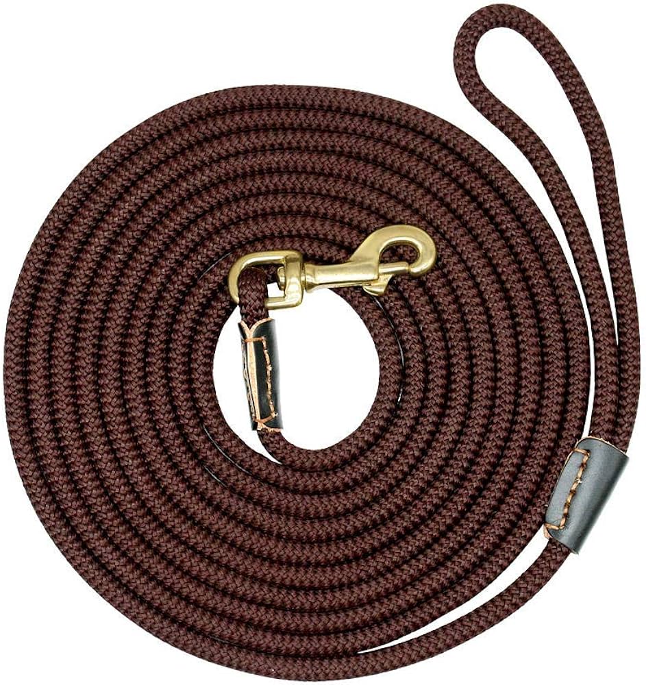 Pet Leashes
