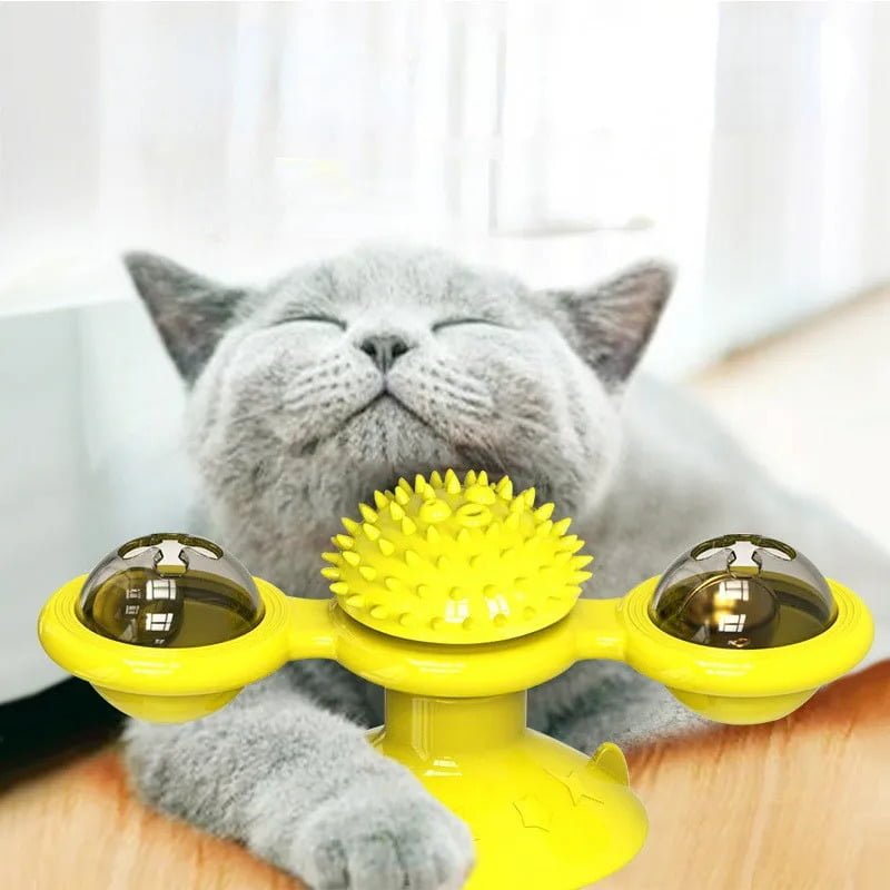 Cat toys