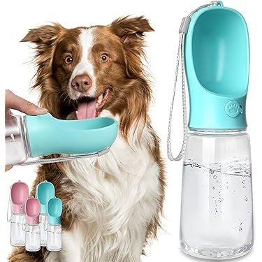 Portable Water Bottles